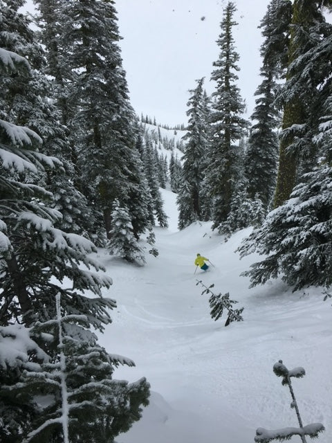 backcountry skiing bamboo